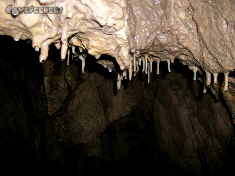 Bauschutthöhle: Verschämter Sinter.