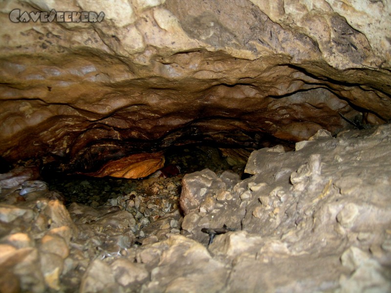 Bauschutthöhle: Das einzige vorgefundene Wasser. Mindestens 20 m über dem absoluten Tiefpunkt.