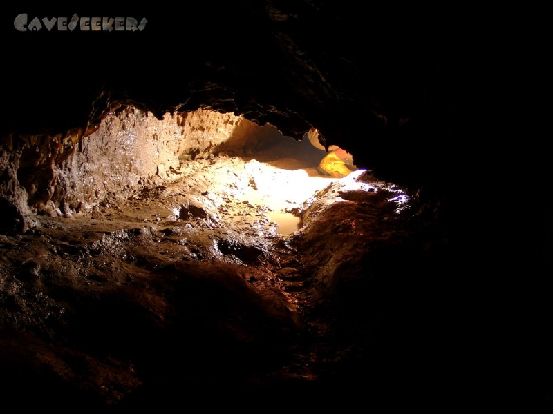 Bauschutthöhle: Wolfram muss mal.