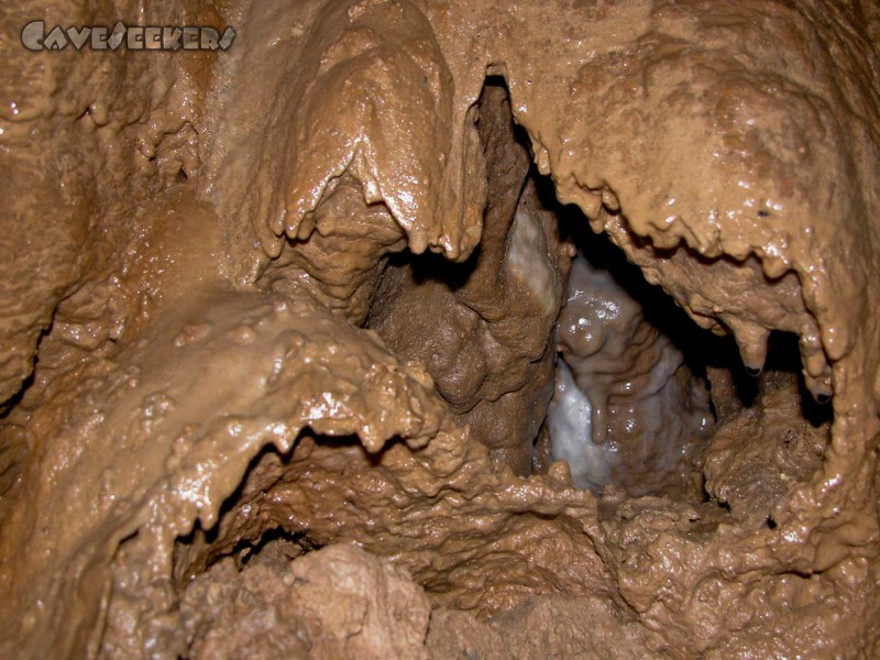 Bauschutthöhle: Makro