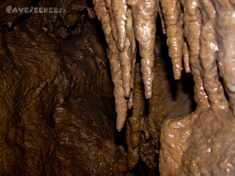 Bauschutthöhle: Nass, dreckig. Franke halt