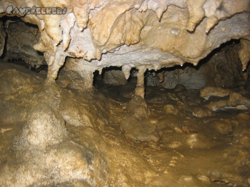 Bismarckgrotte: der Bismarckgrotte. Oder verwarzt.