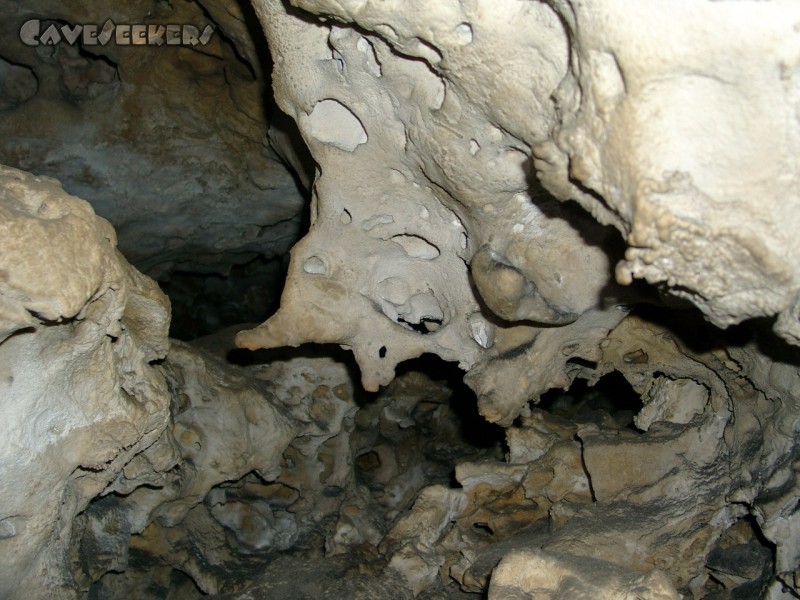 Bismarckgrotte: Der Fisch in der Angströhre.