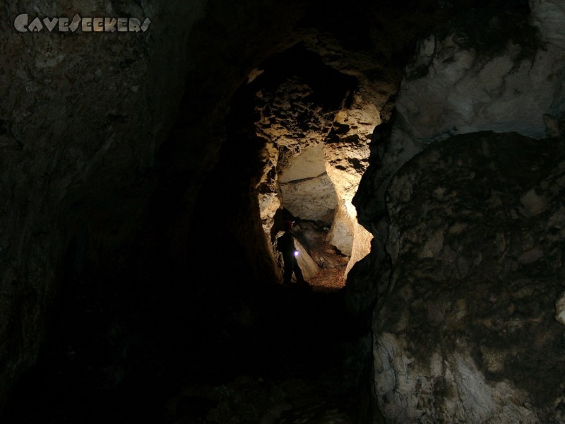 Bismarckgrotte: Führend: Herr Andrich.