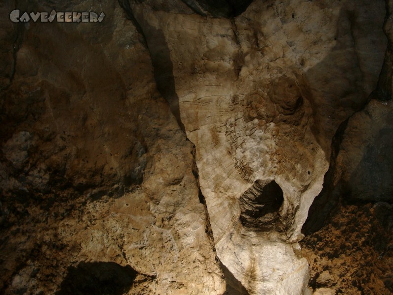 Breitensteiner Bäuerin: Blick von ganz unten nach oben.