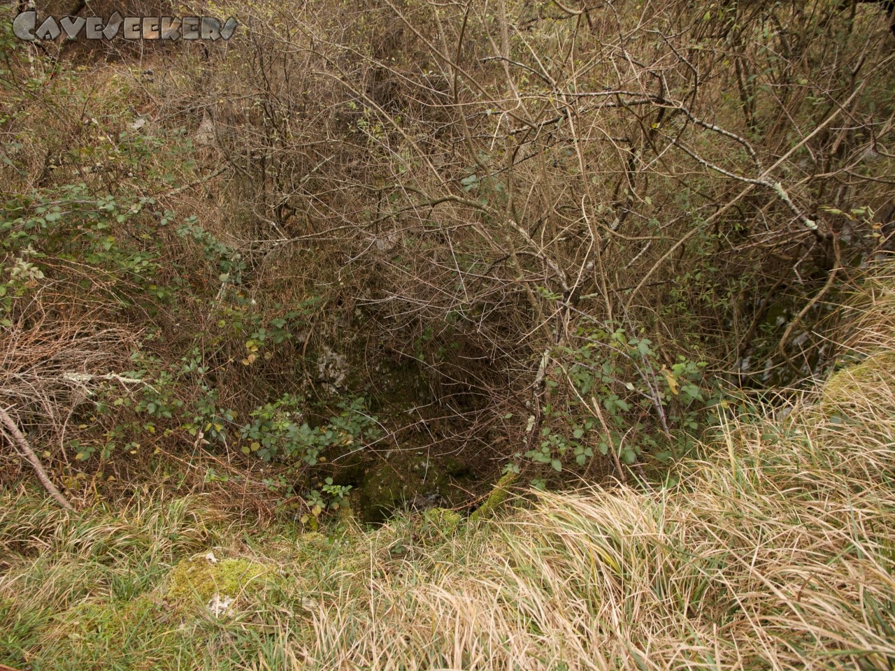 Brezno na Škrklovici: Leicht zu übersehen: Der Höhleneingang.
