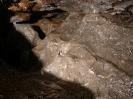 Brunneckerhöhle - Typisches Gestein mit guten Fließfacetten.