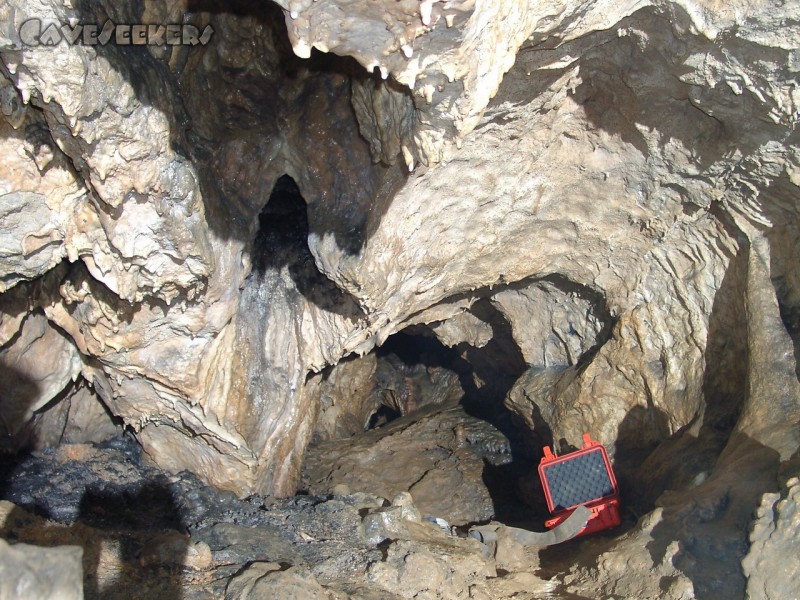 Brunnsteinhöhle: Brunnsteinhöhlenhaupthalle. Es wurde tatsächlich versucht, dass kleine Loch in der Bildmitte zu bekriechen...