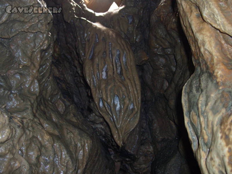 Brunnsteinhöhle: Der Brunnsteinhöhlenbart.