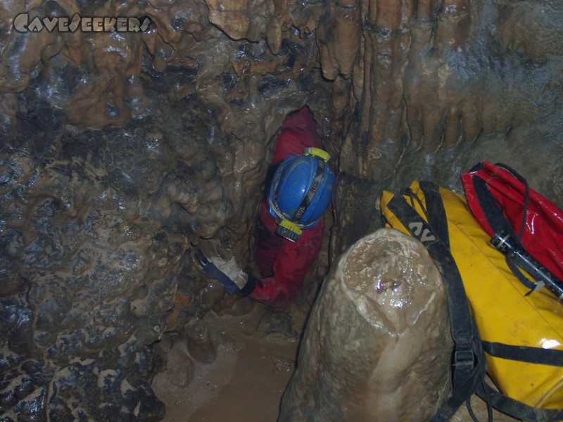 Brunnsteinhöhle: Wiedergeburt am Höhleneingang.