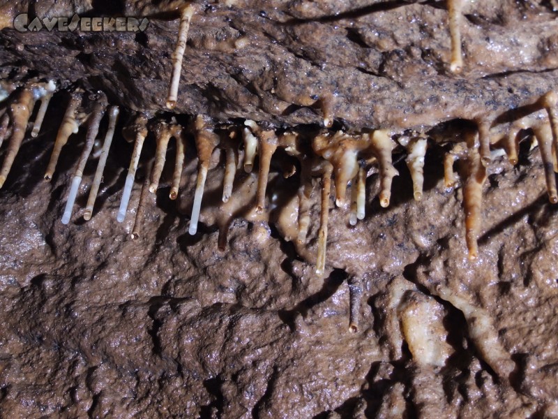 Burghöhle Wolfsegg: Makkaroni