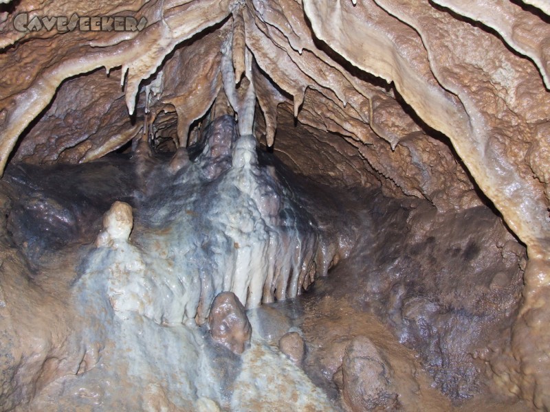 Burghöhle Wolfsegg: Die schönste Sinterzusammenrottung in der Höhle, gut versteckt