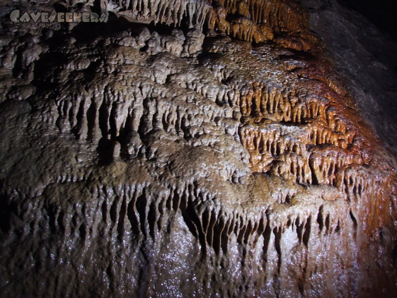 Burghöhle Wolfsegg: Sinterfall der Hummelhalle