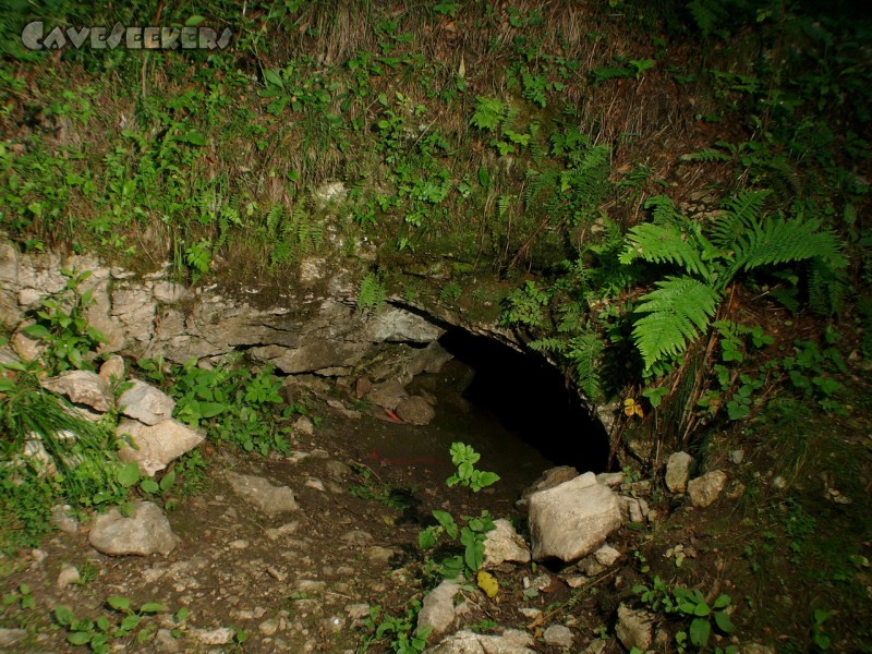 Buso della Pisatela: Eingang. Dahinter mindestens 5km Schmerzen. Unfassbar eigentlich.