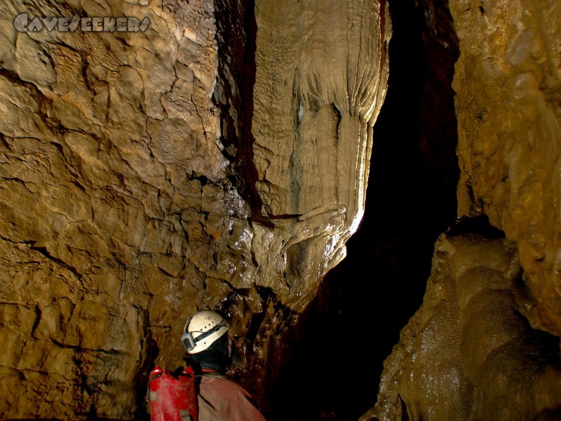 Buso della Rana: Ähnlich wie in der Falki findet sich direkt am Eingang ein einsamer, recht eindrucksvoller Tropfstein. Danach - ebenso ähnlich - nichts mehr.