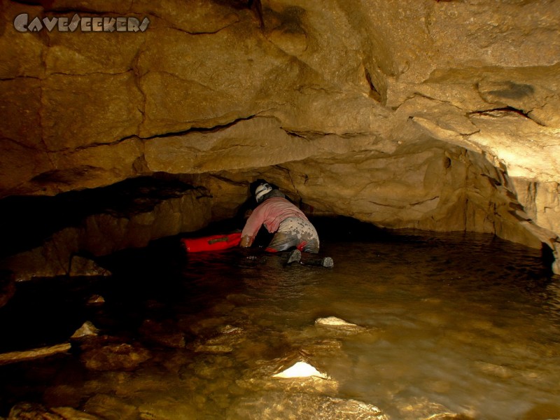 Buso della Rana: Der Siphon. Der CaveSeeker kriecht durchs Wasser.