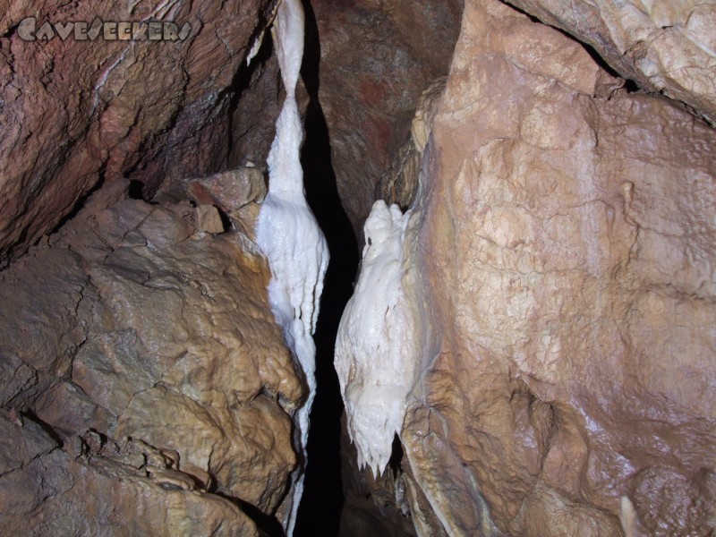 CWB-Höhle: Blick nach oben