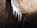 CWB-Höhle - Wie Wurzeln von der Decke