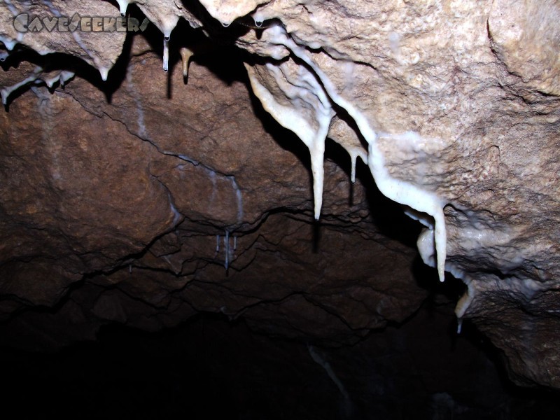 CWB-Höhle: Nach dem Brausebad