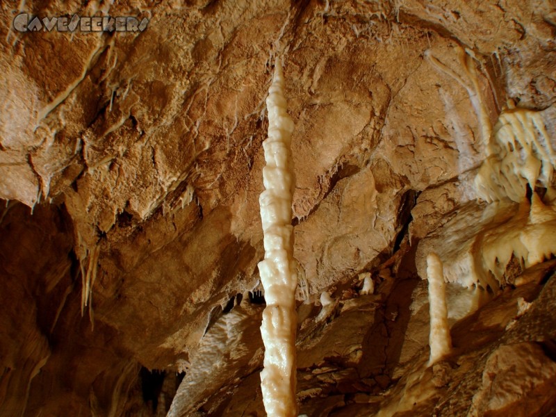 CWB-Höhle: Der oberste in der schrägen Halle.