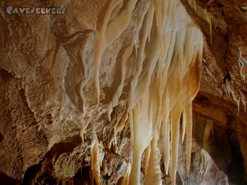 CWB-Höhle: Nochmal etwas größer.