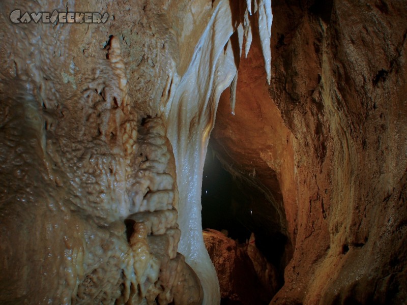 CWB-Höhle: Und zwar hinter dieser Fahne. Dort wo's golden schimmert.