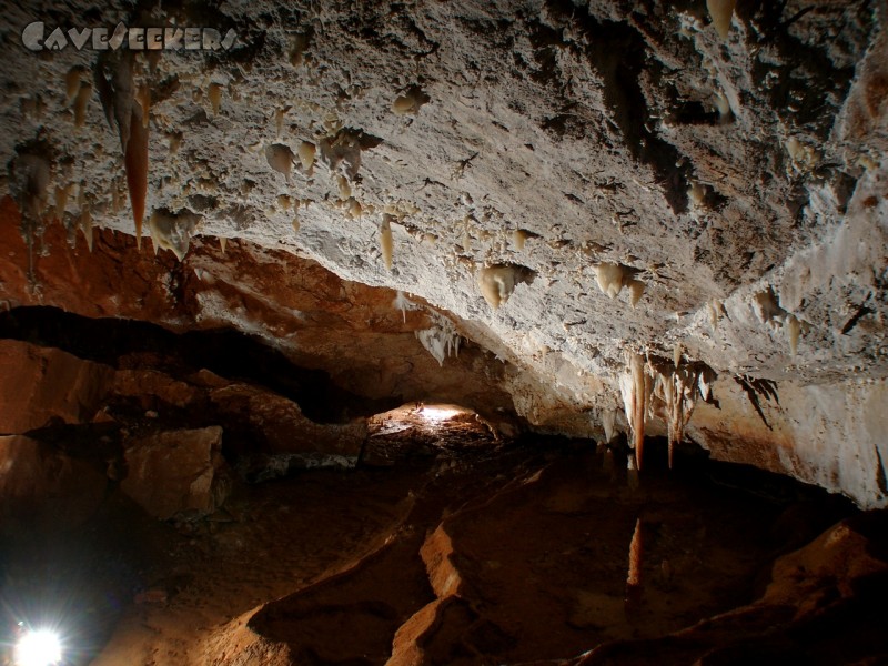 Cova de sa Campana: Furztrockene Sinterbecken geleiten zum Sala dels Gorgs