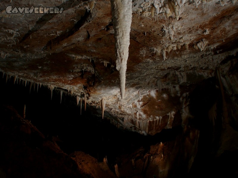 Cova de sa Campana: Schneeweiß,wartet auf Wiederbelebung.