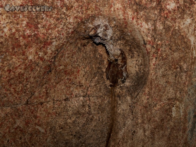 Dark Cave: Unidentifizierbares Objekt am Wegesrand lugt aus der Wand: Foto.