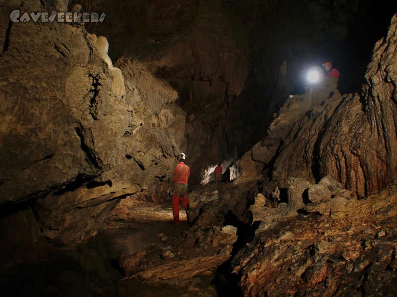 Dimnice Jama: CaveSeeker Wimmelbild am Fluss.