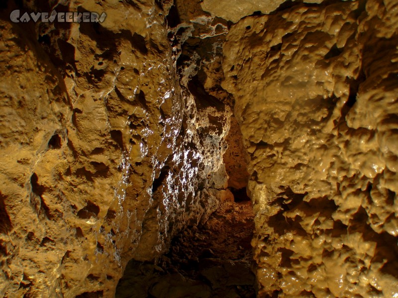 Distlergrotte: Distlergrotte - ungeahnte Pracht.