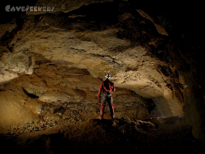 Distlergrotte: Die Eingangshalle. Schön groß. An der Decke sind zahlreiche Wurzeln zu erkennen.