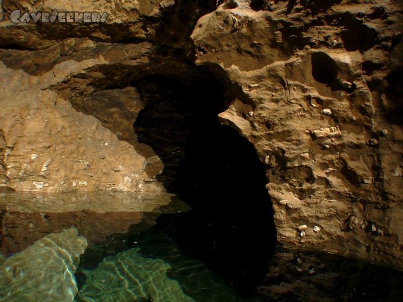 Distlergrotte: Wasserloch. Eventuell muss hier mal ein Tauchvorstoss durchgeführt werden. Und sei es auch nur dazu, um die zahlreichen Bierflaschen am Grund zu bergen.