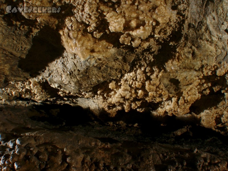 Distlergrotte: Distlergrotte - verkannte Pracht.