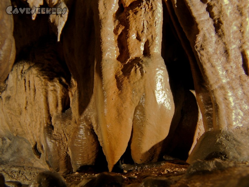 Doktorshöhle: fett