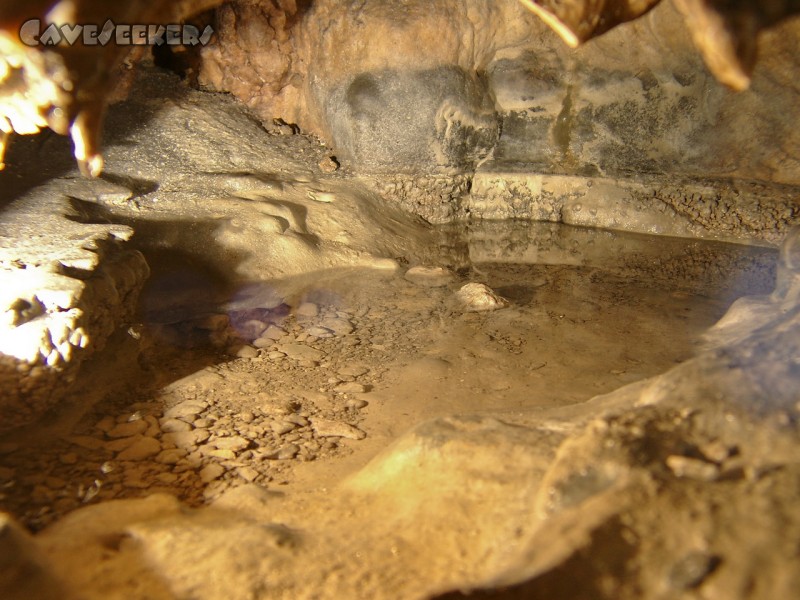 Doktorshöhle: Sinterbecken in Hülle und Fülle.