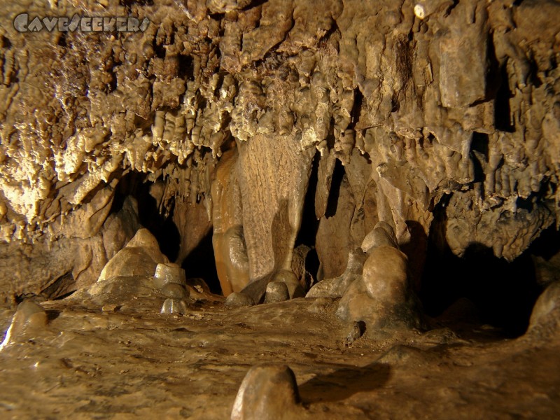 Doktorshöhle: Oberhalb der großen Sinterplatte.