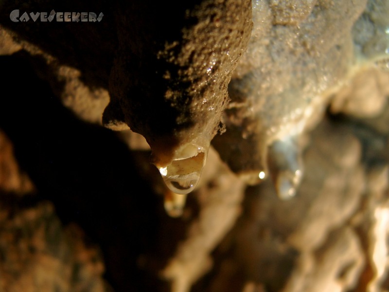 Doktorshöhle: Wasser an der Decke.