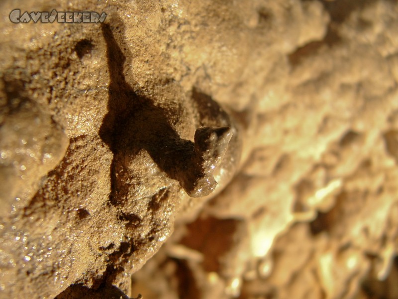 Doktorshöhle: Excentrics in Franken.