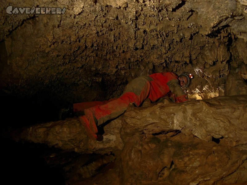 Doktorshöhle: Rudel... .liegen