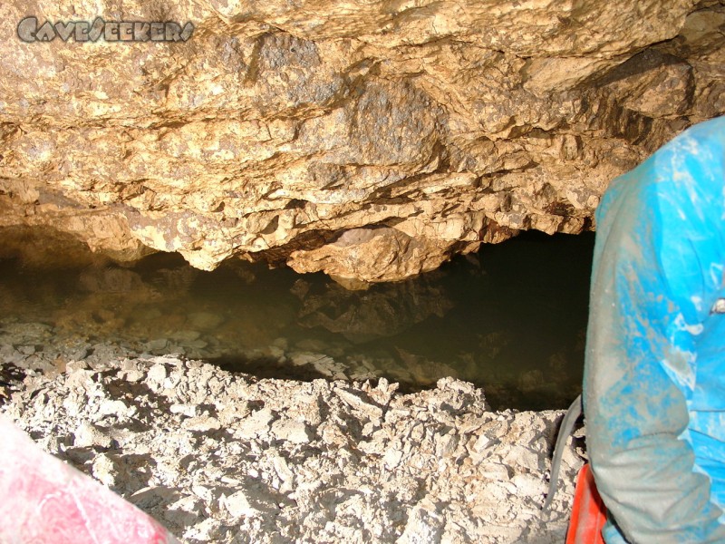 Donauhöhle: Donauwasser.