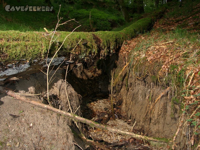 Drachenloch: Welch' lustig Bächlein mag hier wohl plätschern?