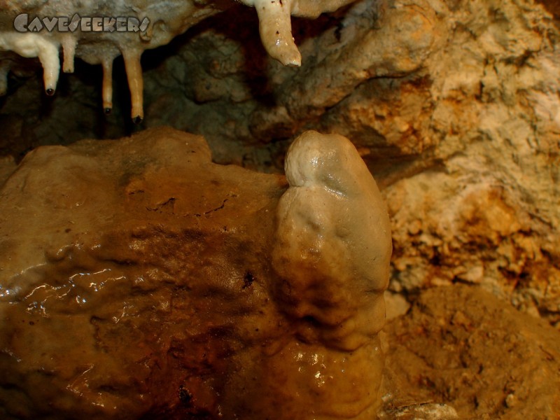 Drachenloch: Nochmal die selben - mehr jibbet net.