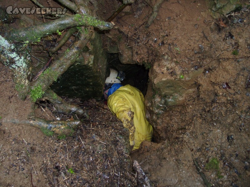 Dünndarmhöhle: Bei der Sichtung des Eingangsbereiches.