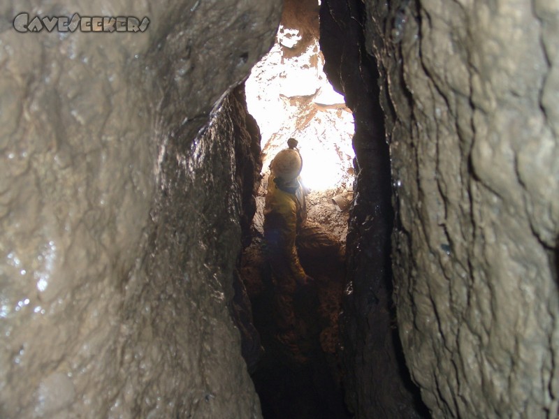 Dünndarmhöhle: Die erste 'Halle'. Hier hält sich der Dreck noch in Grenzen.