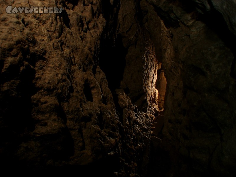 Dünndarmhöhle: Der Blick in die obere Halle.