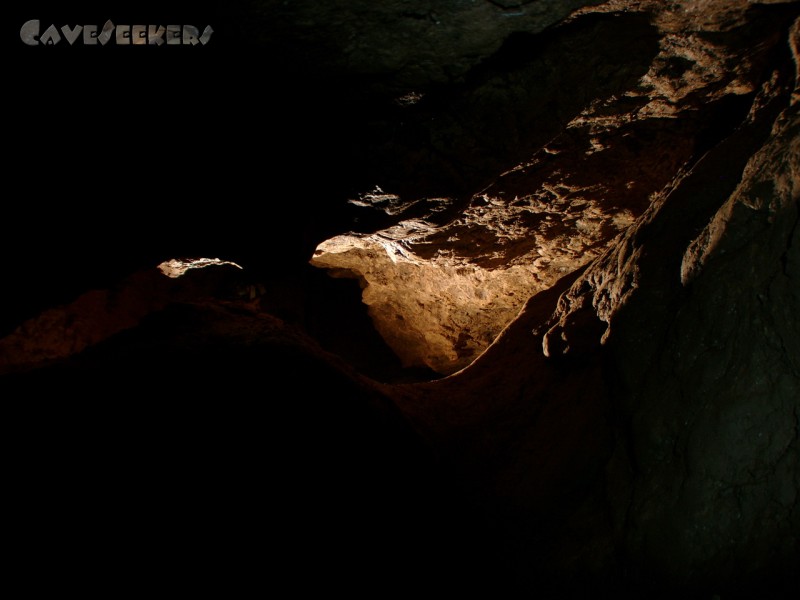 Dünndarmhöhle: Aus dem Schluf ohne Wiederkehr.