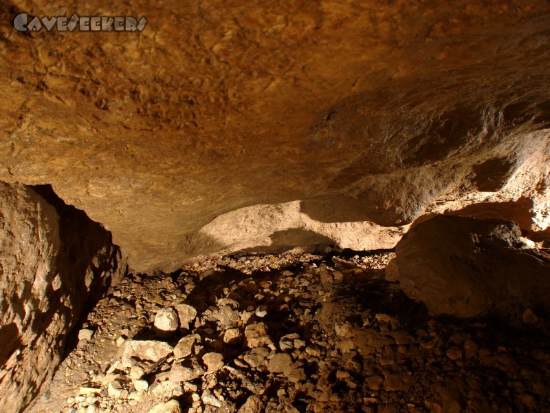 Dünndarmhöhle: Am Grunde des Schachtes.