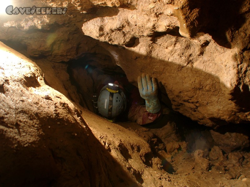 Dünndarmhöhle: Schlank: Herr Lanig.