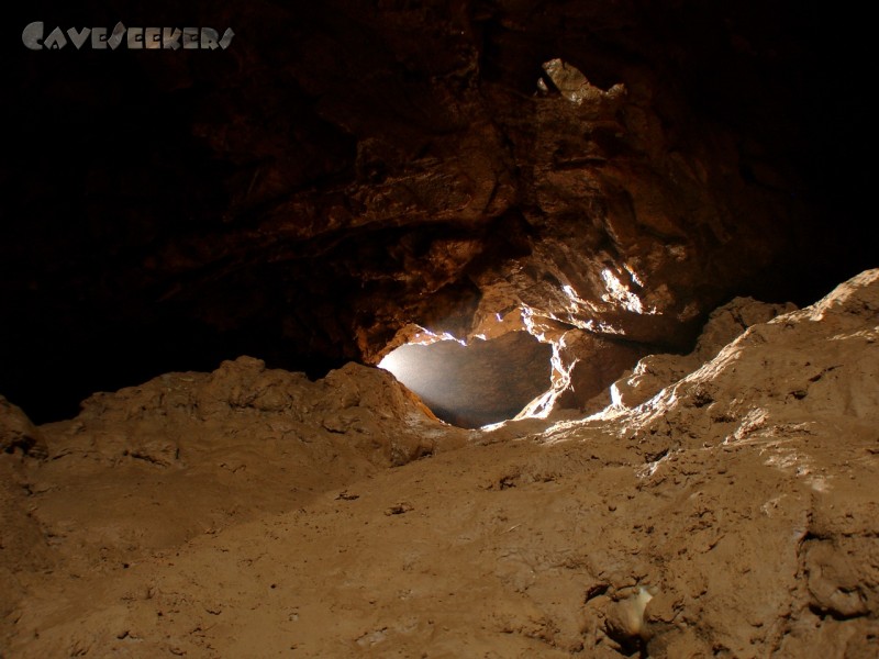 Dünndarmhöhle: Irgendwo oben über dem Bachlauf.